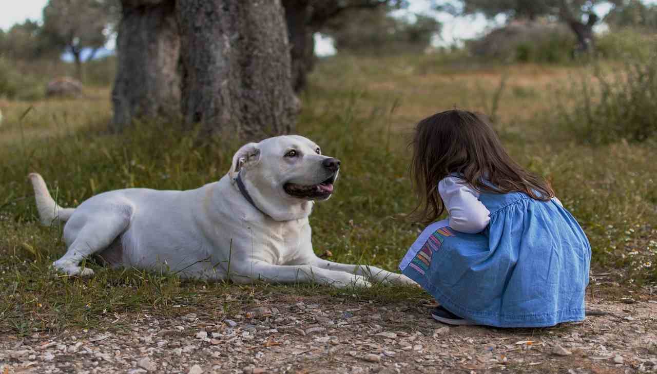 bimba cane